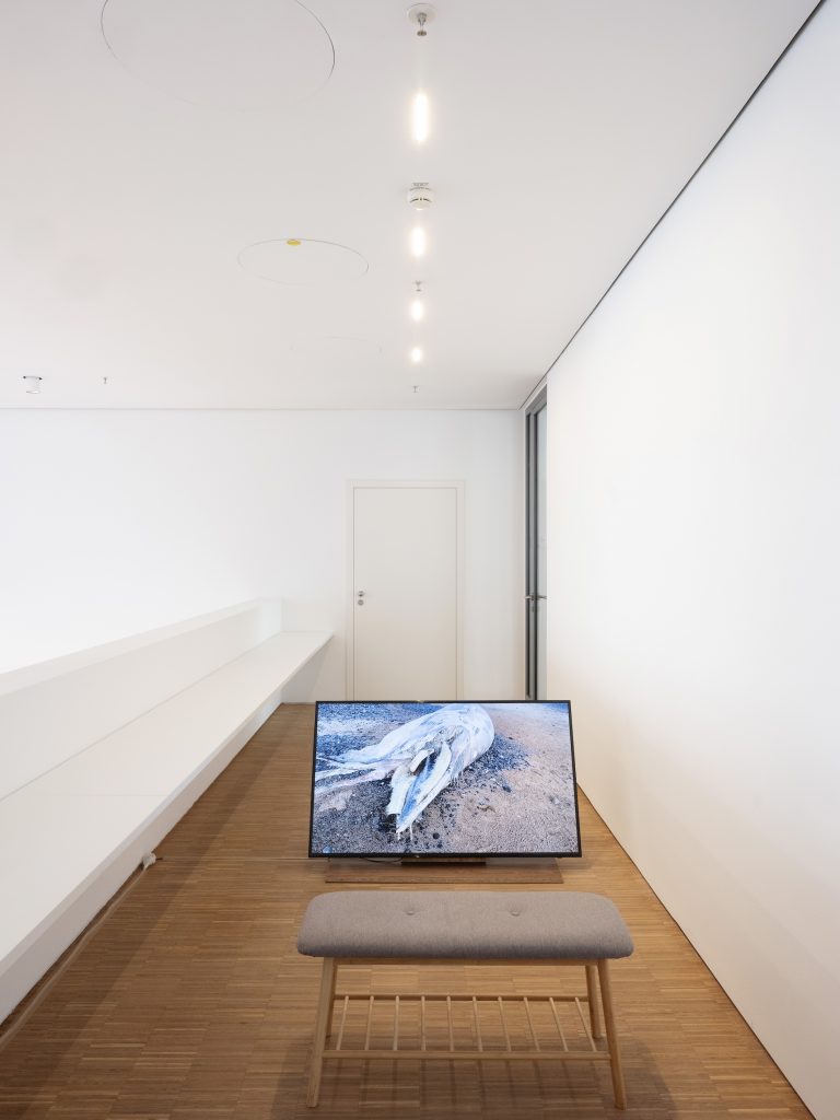 Ausstellungsansicht ‚together forever-macht euch die Erde untertan?‘ Foto: Gerald von Foris