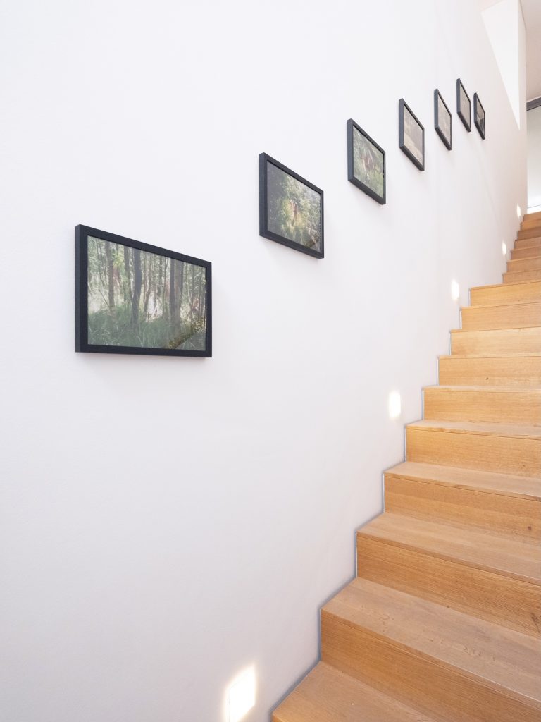 Ausstellungsansicht ‚together forever-macht euch die Erde untertan?‘ Foto: Gerald von Foris