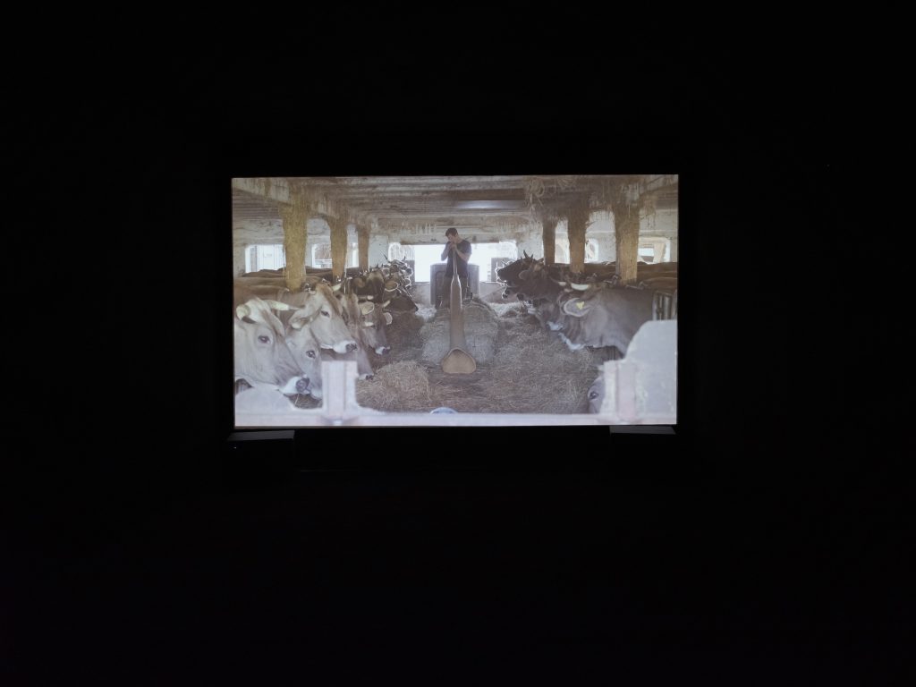 Ausstellungsansicht ‚together forever-macht euch die Erde untertan?‘ Foto: Gerald von Foris