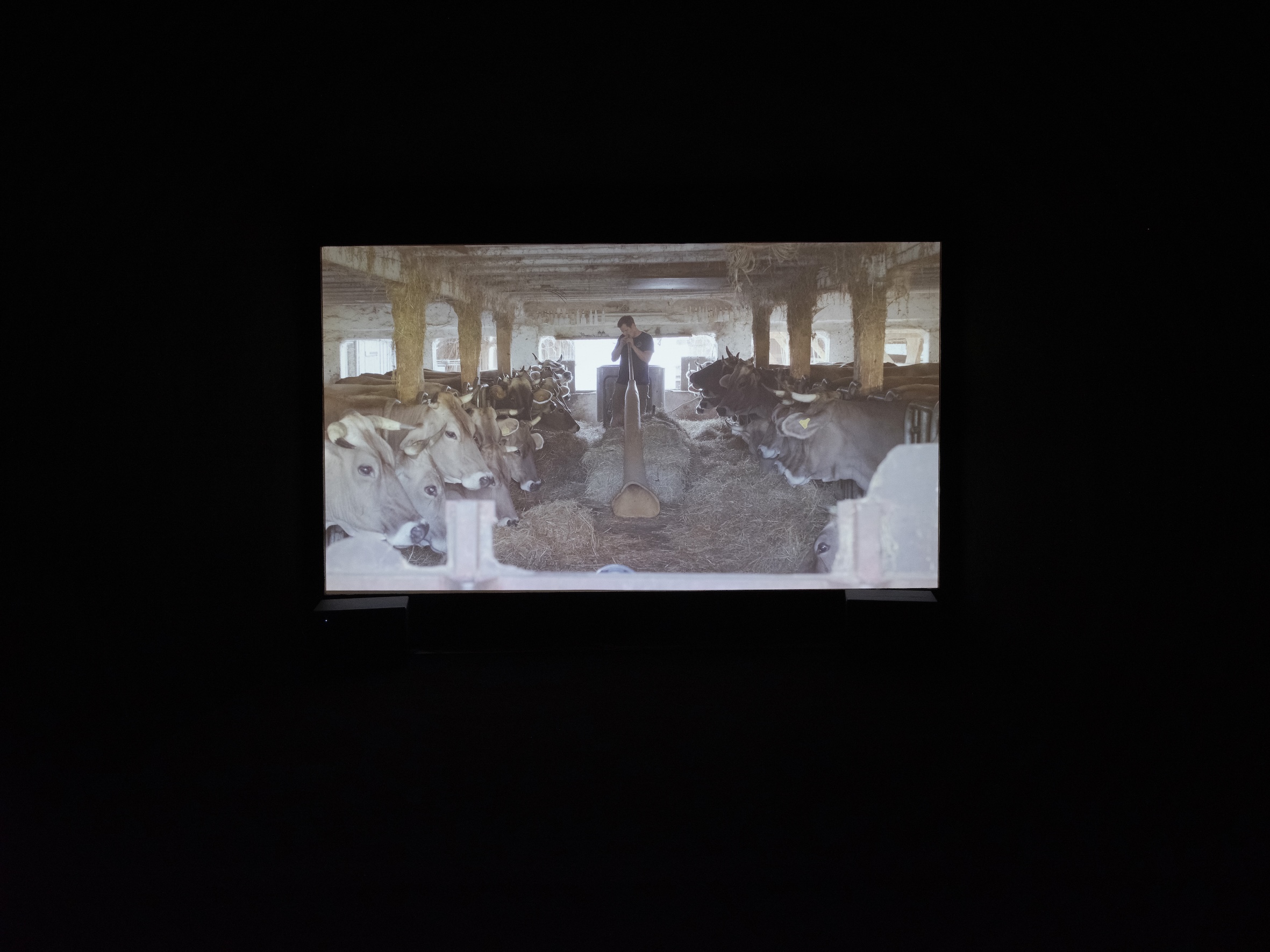 Ausstellungsansicht ‚together forever-macht euch die Erde untertan?‘ Foto: Gerald von Foris
