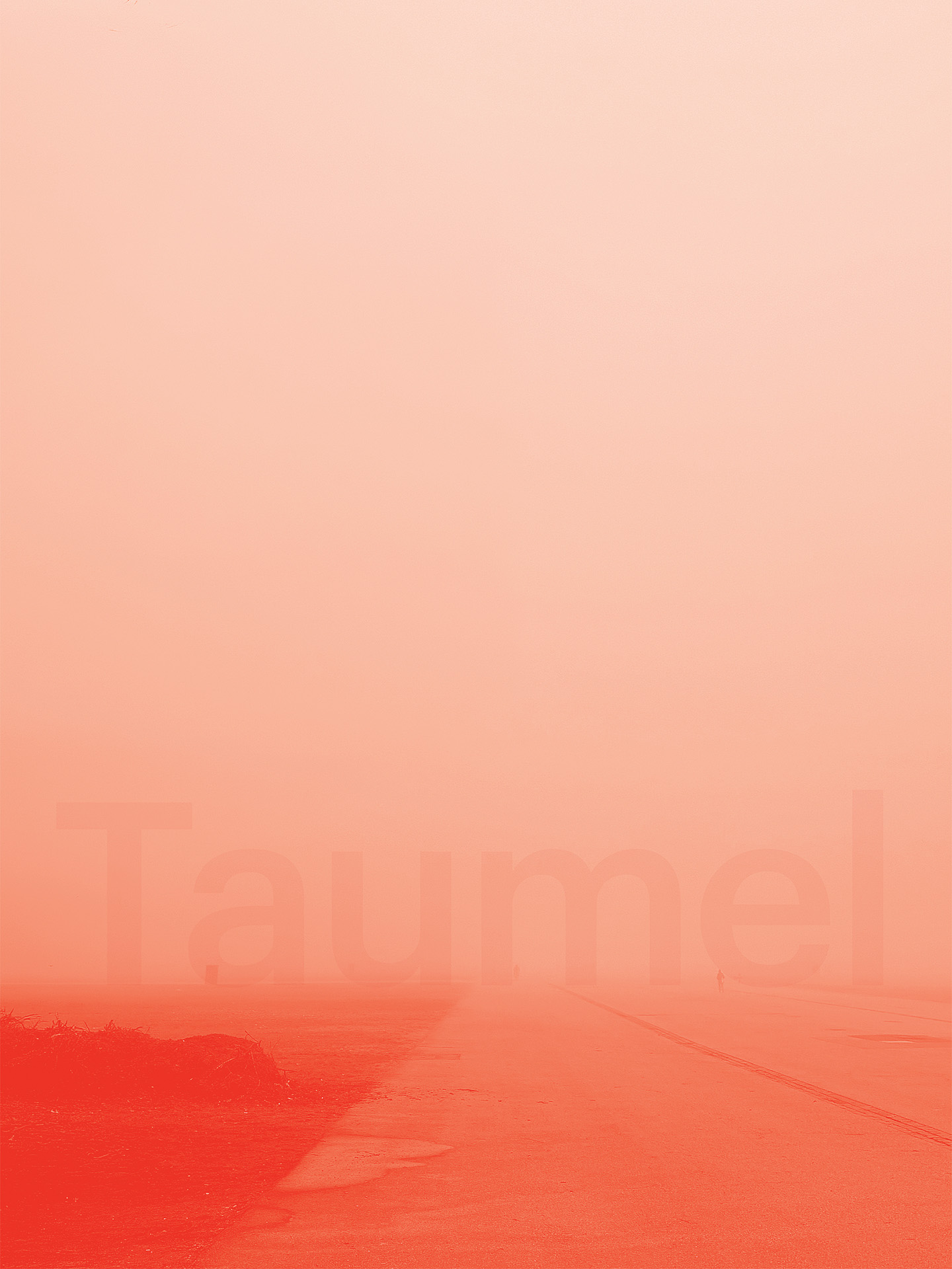 Taumel_Jahresmotto 2026